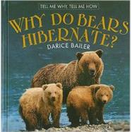 Why Do Bears Hibernate?