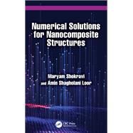 Numerical Solutions for Nanocomposite Structures