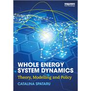 Whole Energy System Dynamics: Theory, Modelling and Policy