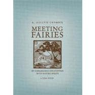 Meeting Fairies : My Remarkable Encounters with Nature Spirits: A True Story