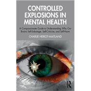 Controlled Explosions in Mental Health book cover, ISBN 9781003559924