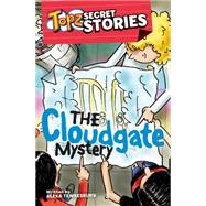 Topz Secret Stories - the Cloudgate Mystery