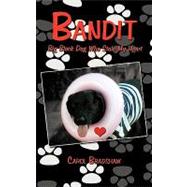 Bandit : Big Black Dog Who Stole My Heart