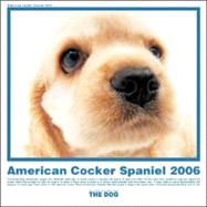 The Dog American Cocker Spaniel