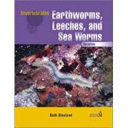 Earthworms, Leeches, and Sea Worms