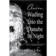 Claire, Wading into the Danube by Night