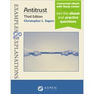 Examples & Explanations for Antitrust