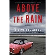 Above the Rain A Novel