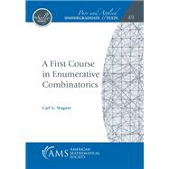 A First Course in Enumerative Combinatorics