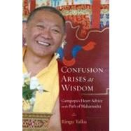 Confusion Arises as Wisdom Gampopa's Heart Advice on the Path of Mahamudra