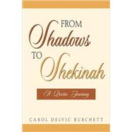 From Shadows to Shekinah