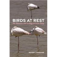 Birds at Rest