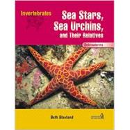 Sea Stars, Sea Urchins, and Their Relatives