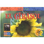 El Girasol /Sunflower