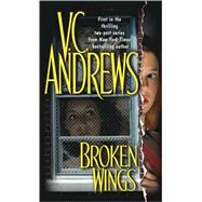 Broken Wings