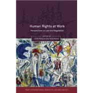 Human Rights at Work Perspectives on Law and Regulation