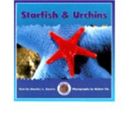 Starfish & Urchins