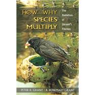 How and Why Species Multiply