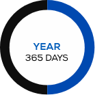 Year 365 Days